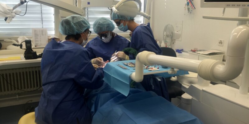 Swiss and Israeli periodontology departments launch postgraduate student exchange programme