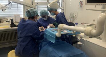 Swiss and Israeli periodontology departments launch postgraduate student exchange programme