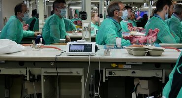 Use of L-PRF in regeneration under spotlight at Leuven meeting