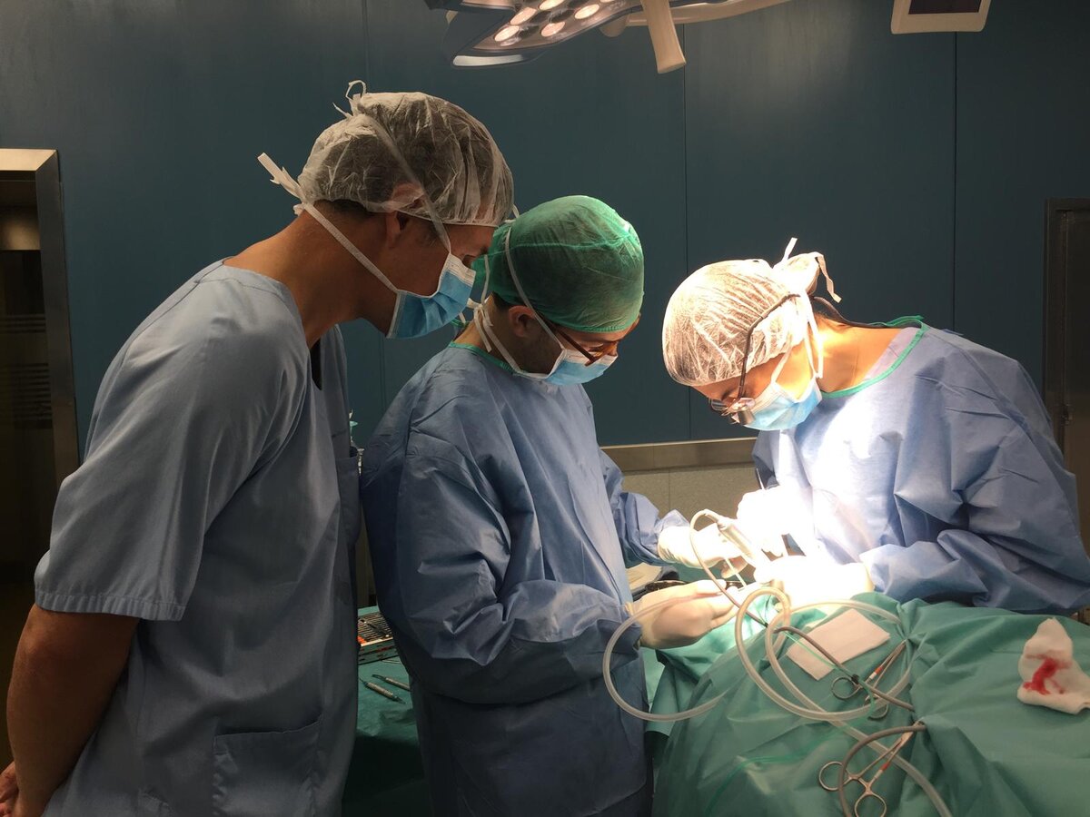 students performing surgery