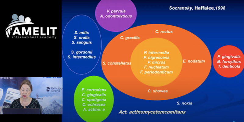 Response to Covid-19: Ukrainian perio society organises multiple webinars