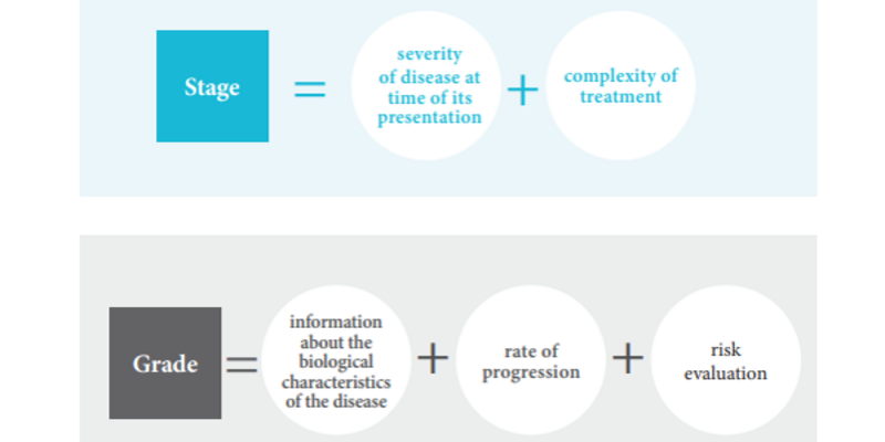 Applying the new classification to clinical cases