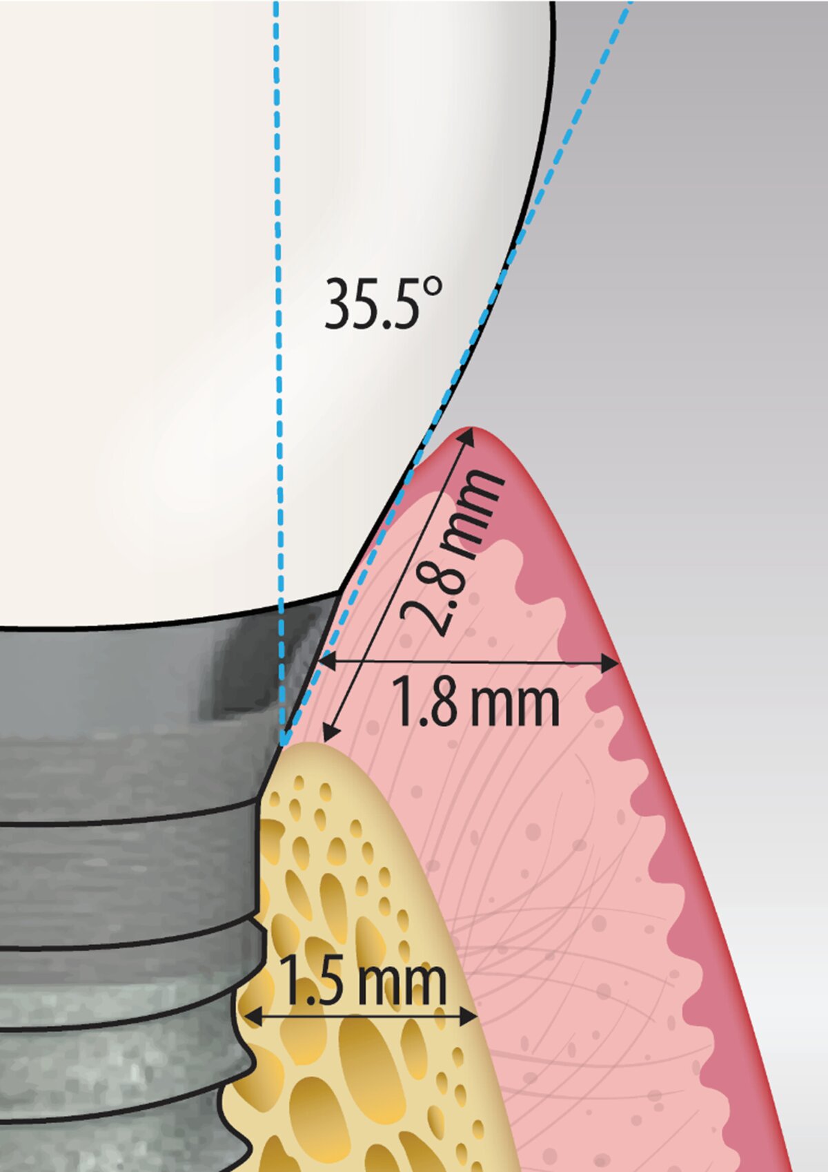graphic illustrating research
