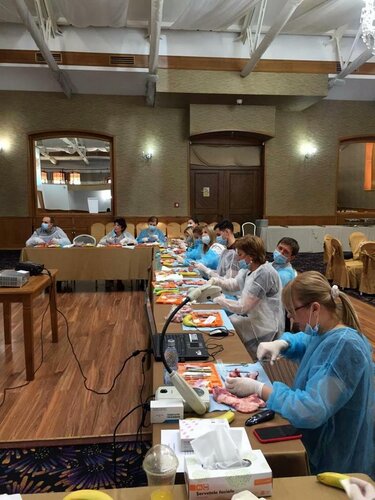 Romanian perio society conference focuses on periodontal medicine