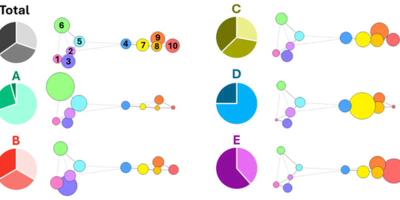 graphic illustrating research findings