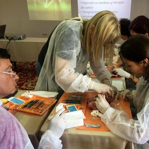 Romanian perio society conference focuses on complex treatments
