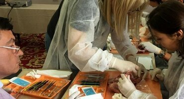 Romanian perio society conference focuses on complex treatments