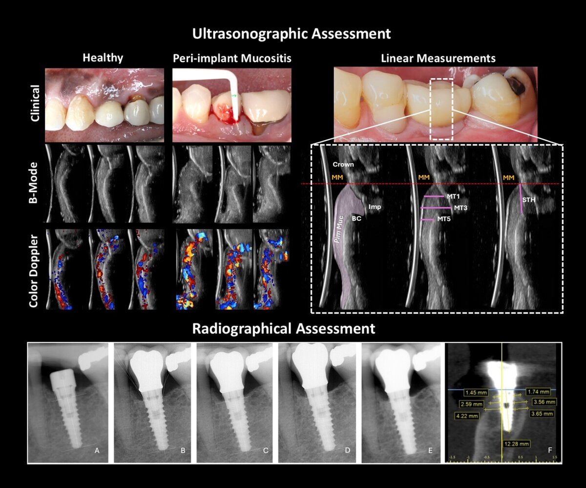 graphic illustrating research findings