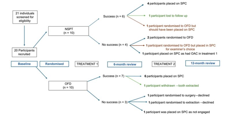 Graphic from article illustrating research findings