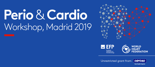 EFP and World Heart Federation prepare workshop on periodontitis and cardiovascular diseases