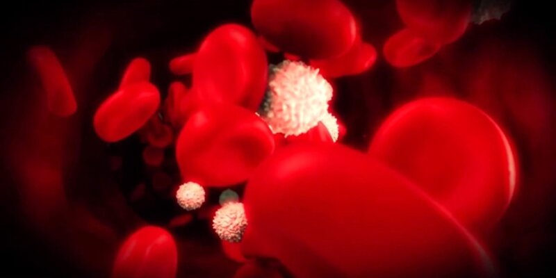 EFP video explores links and 'vital connections' between perio and general health