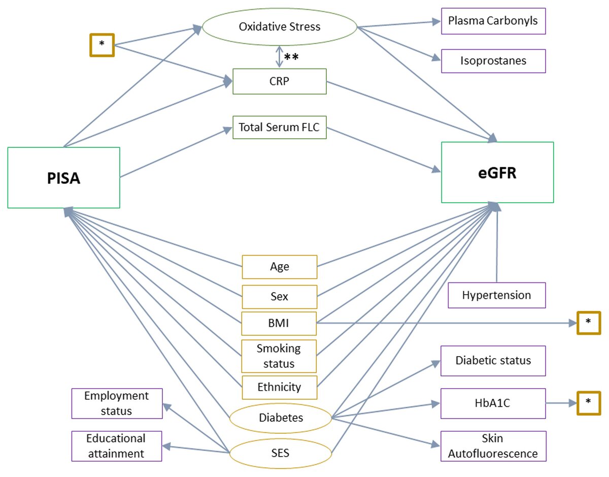 grahic illustrating research