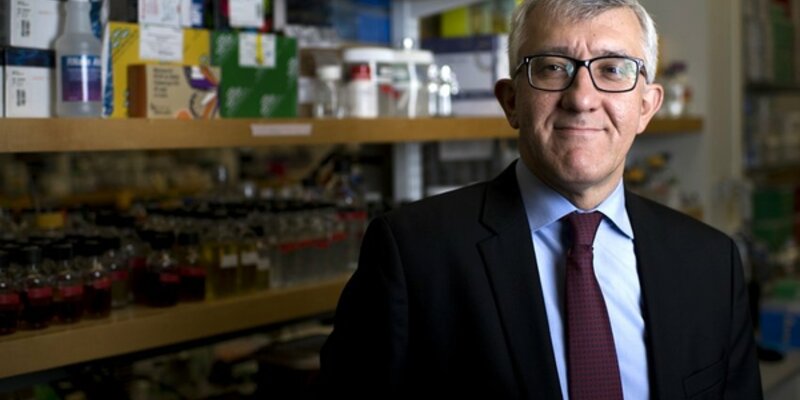 Perio Master Clinic 2020: novel techniques represent future of regeneration
