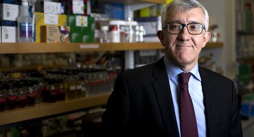 Perio Master Clinic 2020: novel techniques represent future of regeneration