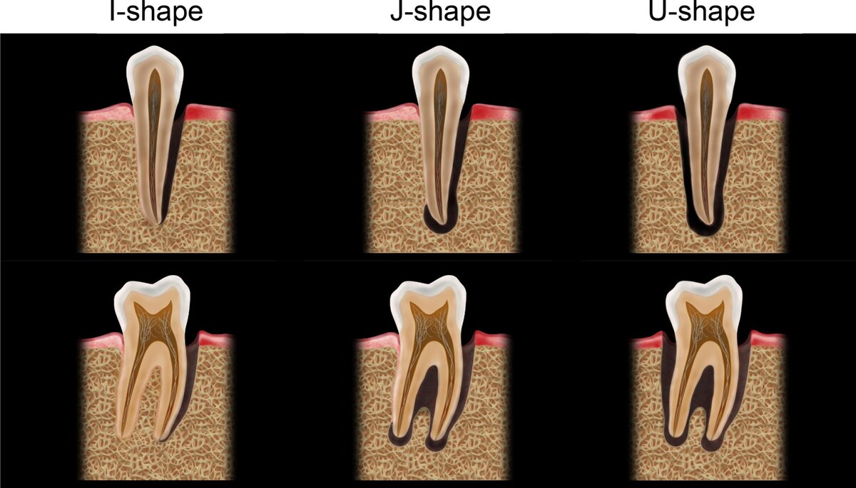 graphic illustrating research