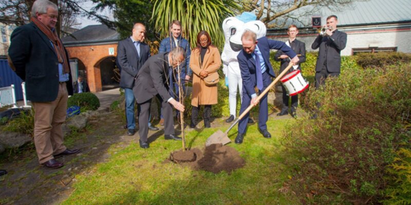 EFP plants tree during Perio Master Clinic 2020 as symbol of environmental commitment