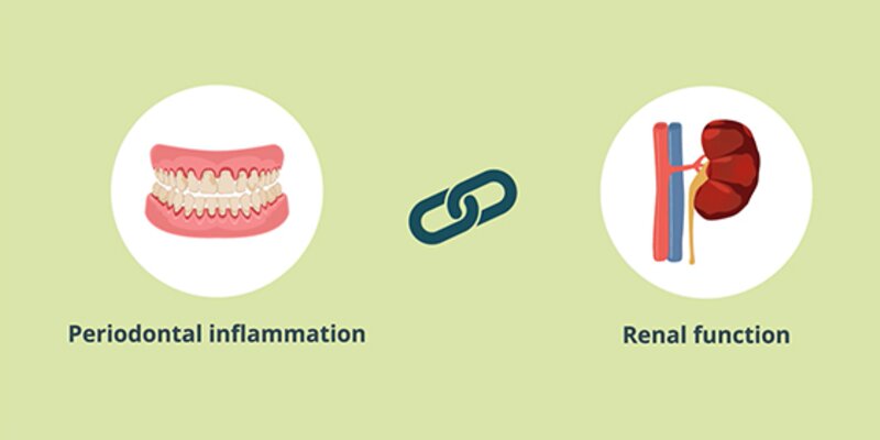 graphic on perio and renal connection