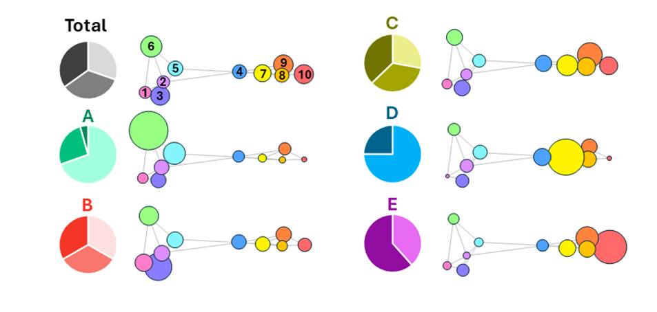 graphic illustrating research findings