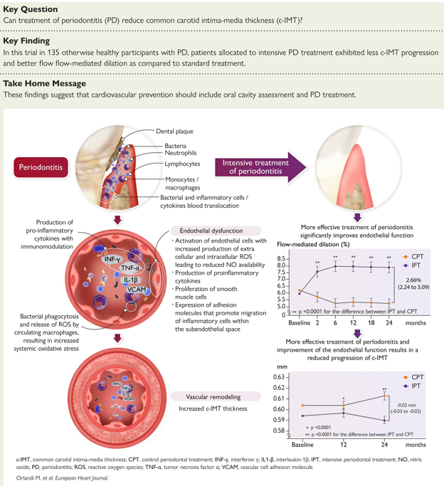 Graphical Abstract