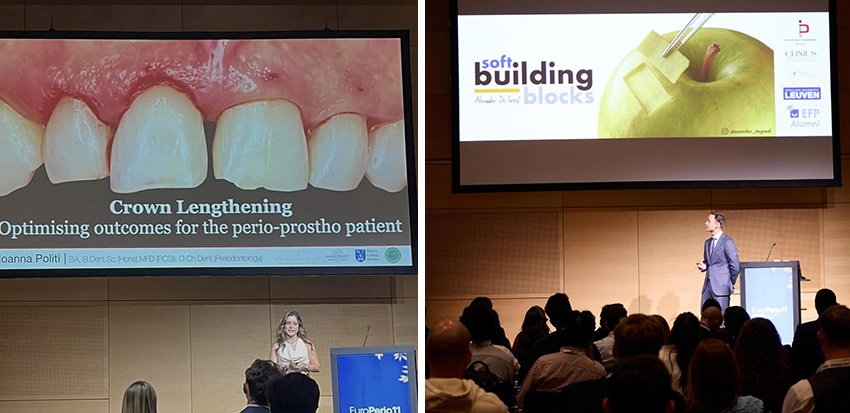 photos of 2 sessions at EuroPerio11