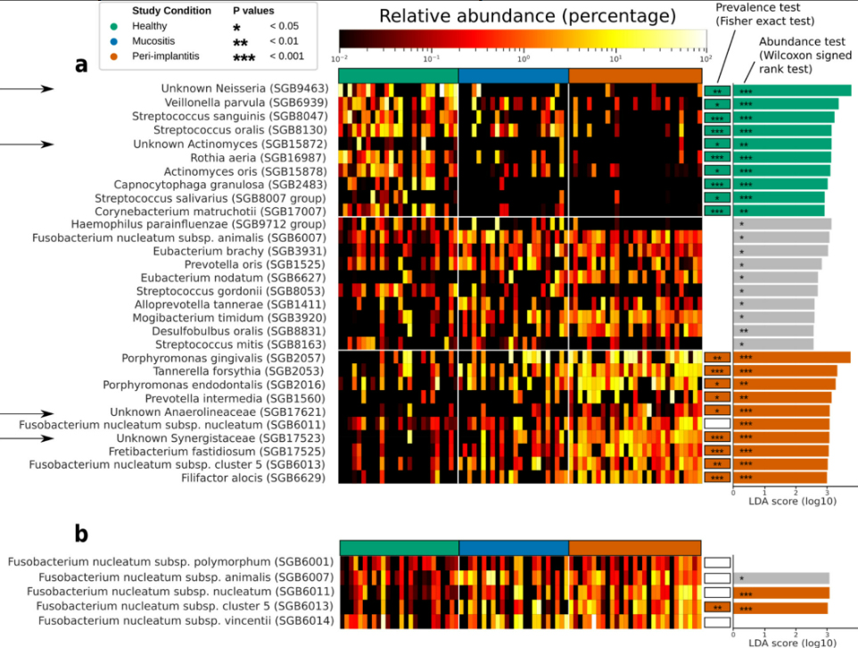 graphic illustrating research findings