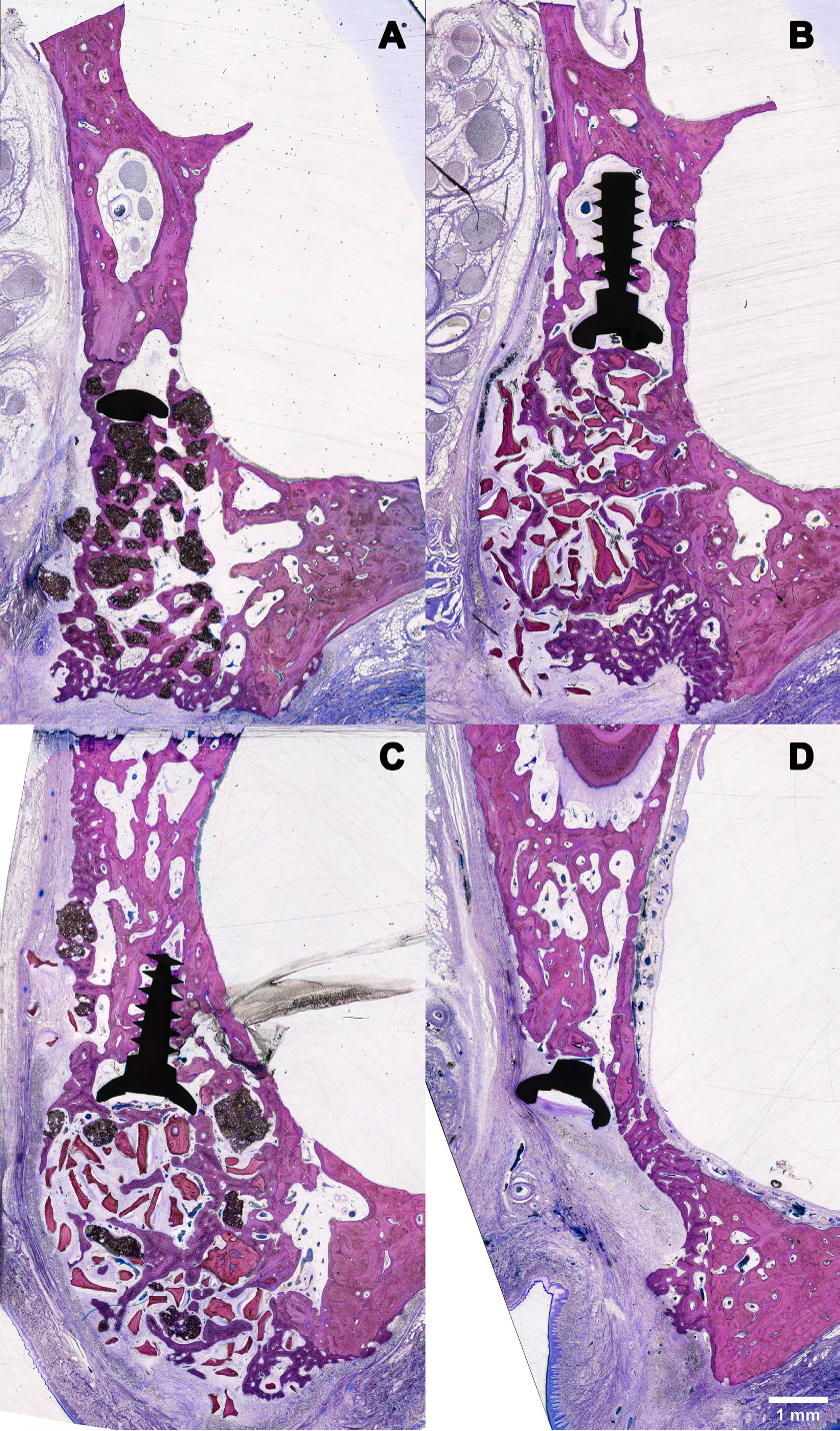 graphic illustrating research
