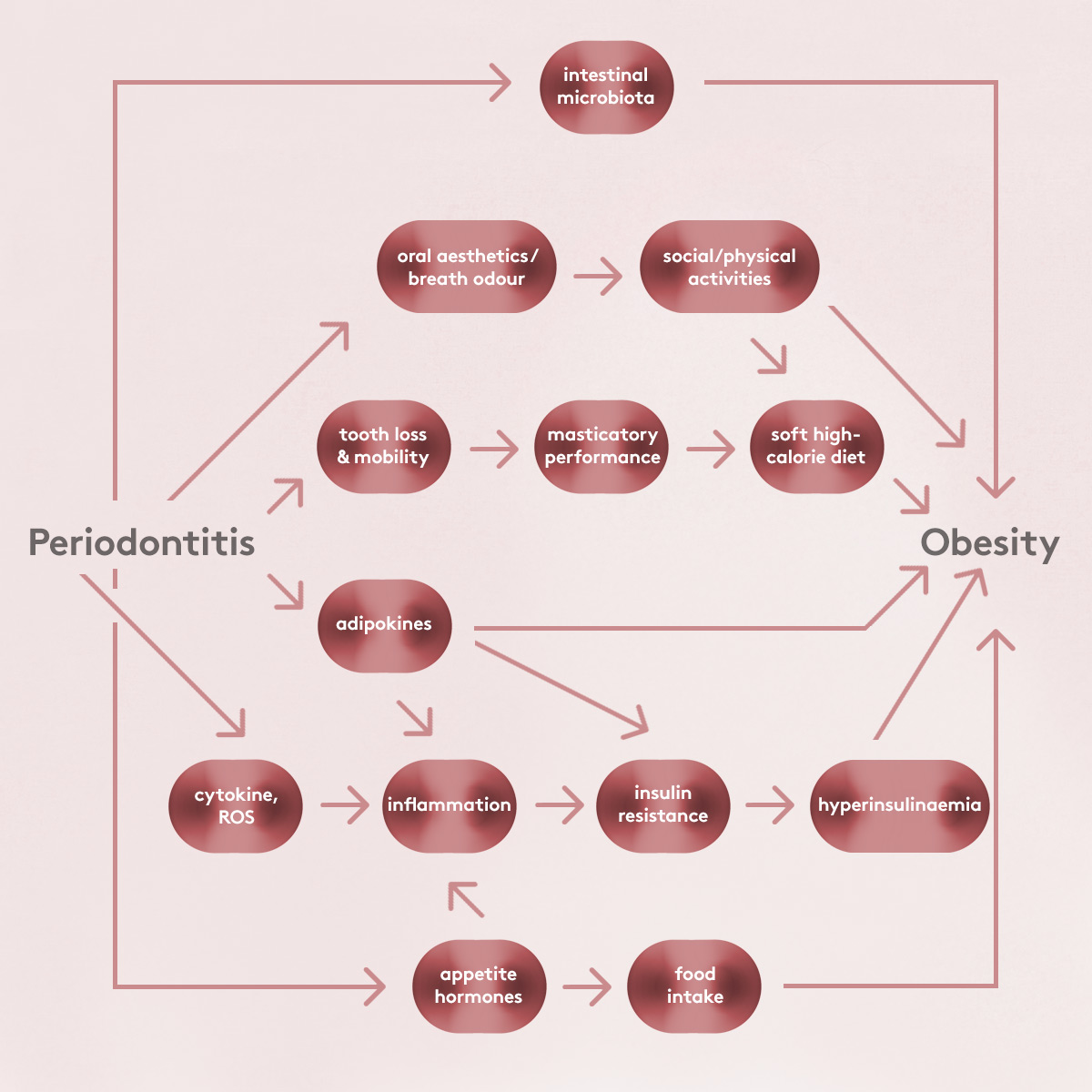 Graphic showing relationship between obesity and periodontitis