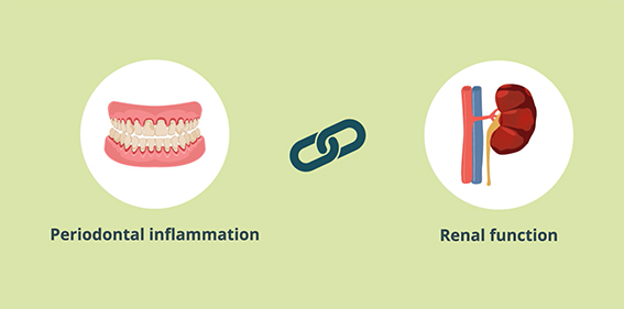 graphic showing perio-kidney links